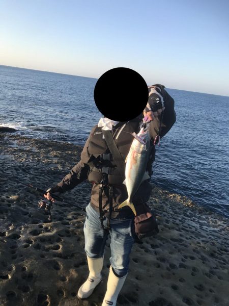 エギングロッドでショアジギング。ハマチにタチウオ